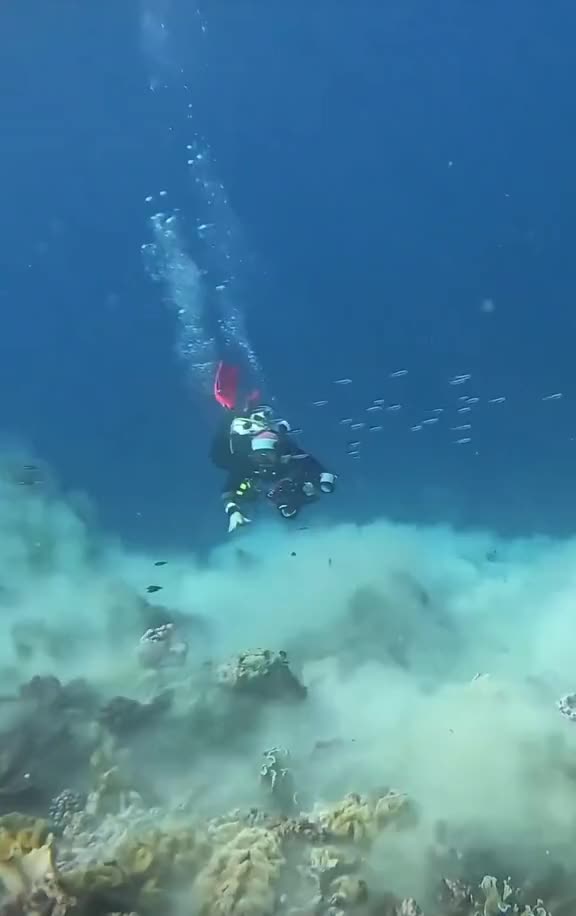 Earthquake at Banda Sea