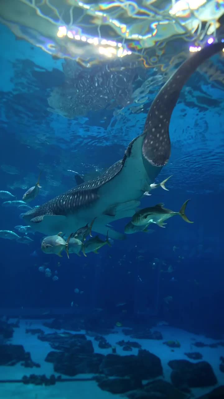 Blue water