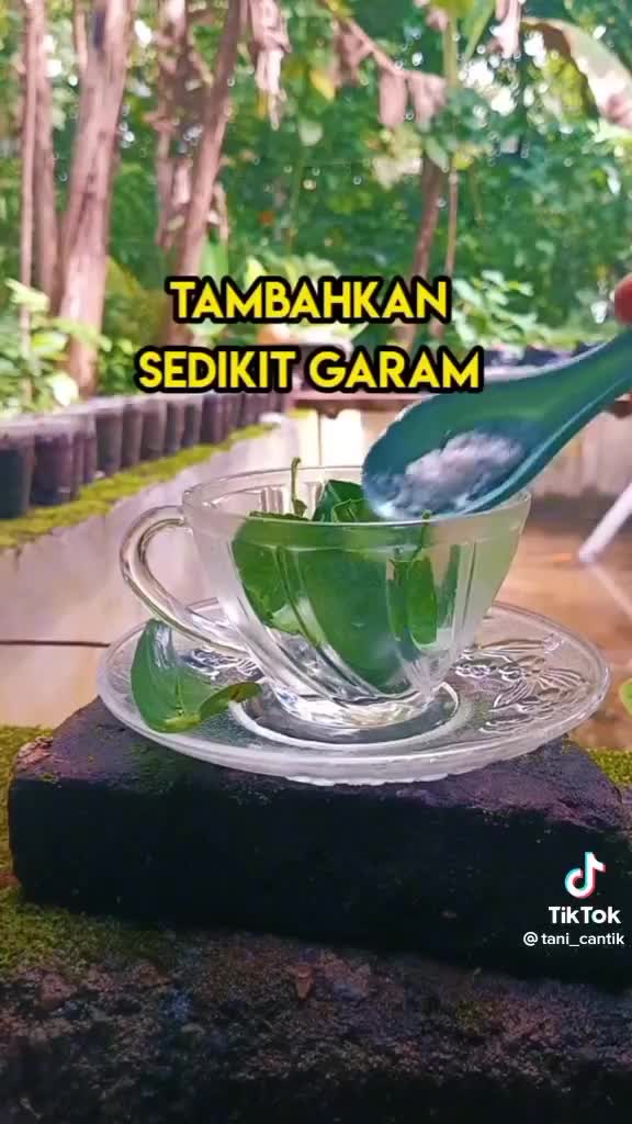 obat sakit gigi