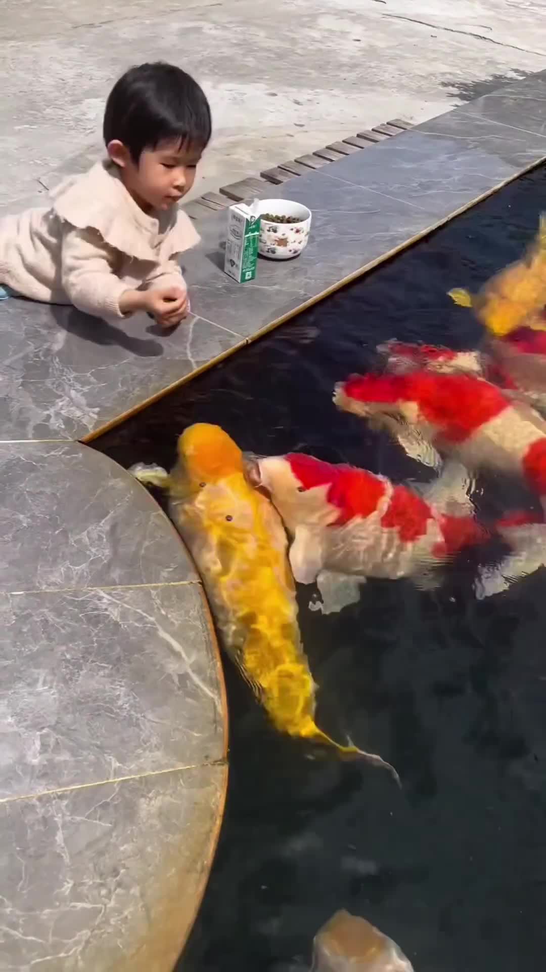 efek ikan mas nelen sperma paus. 