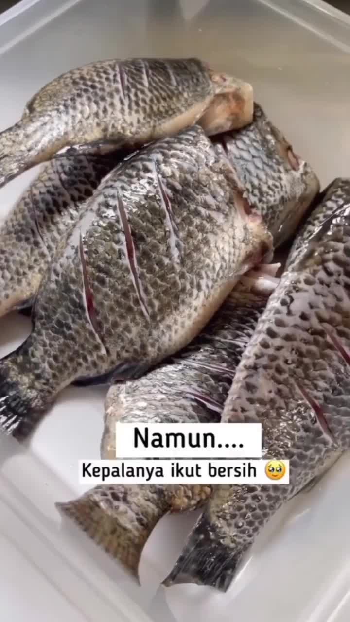 Sampe Kepalanya Juga Dibersihin