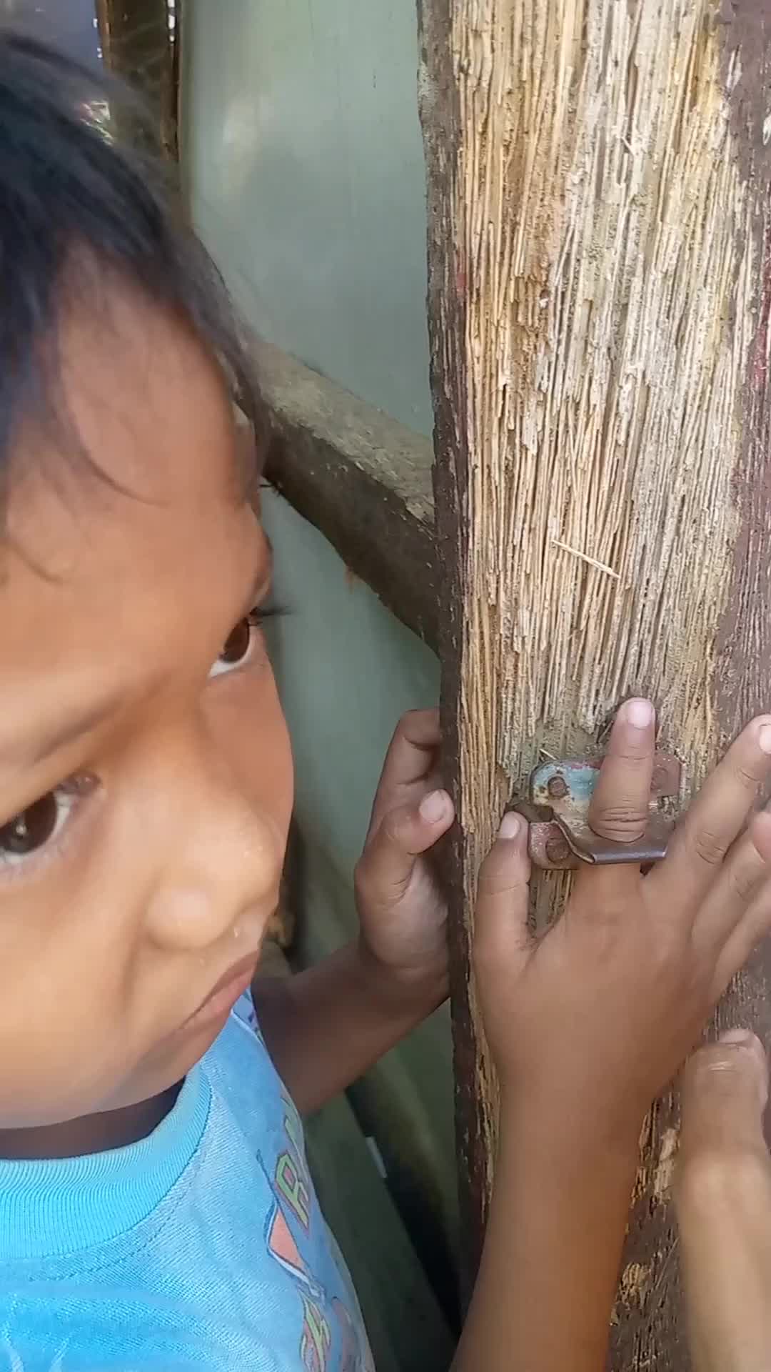 Kejepit lubang kunci 