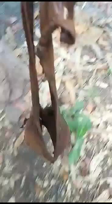 mancing dapet BH😁