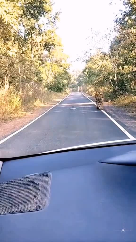 panik gak? panik gak?