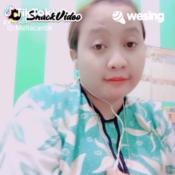 setangkai bunga padi