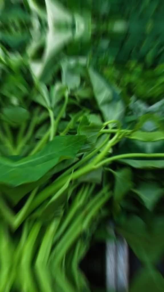 manfaat kangkung