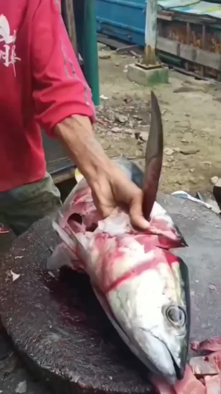 Cara Memotong Ikan Yang Baik Dan Benar