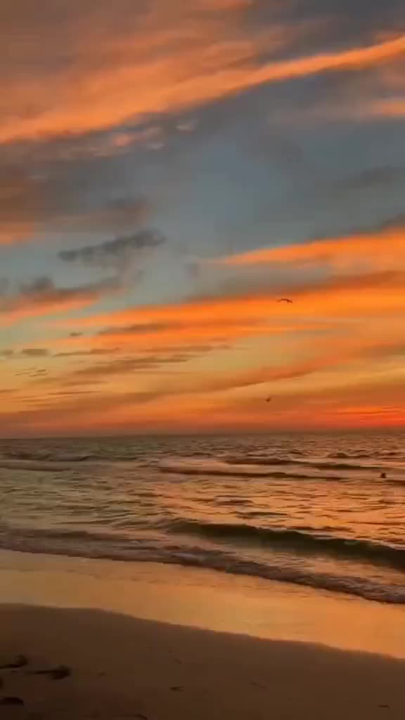 Avatar Sedang Tertidur Pulas