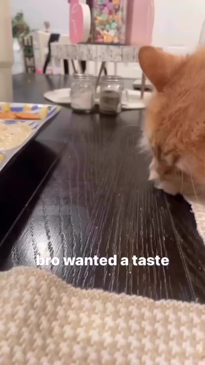 biar dicicip sama chef dulu