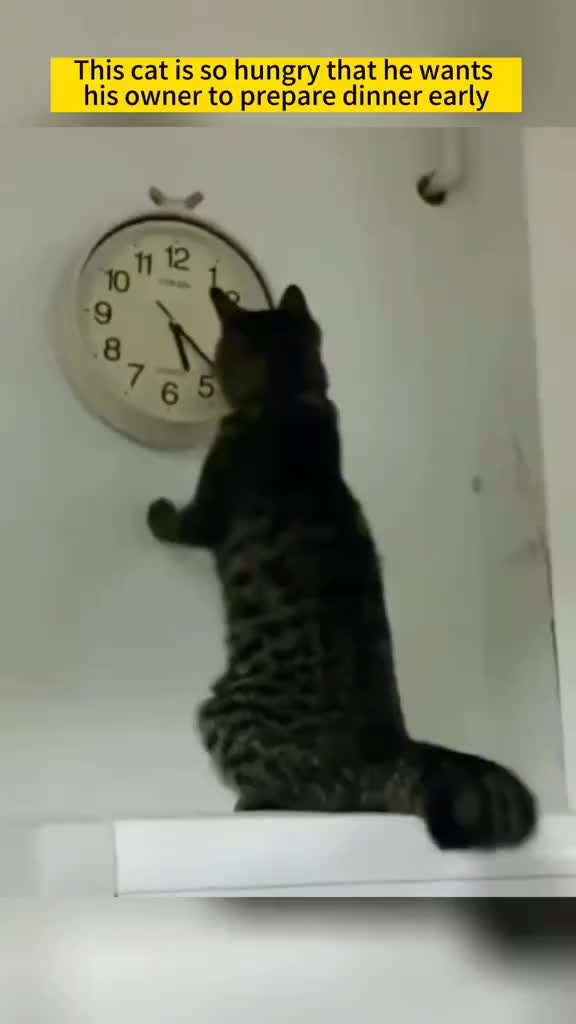 Cara mempercepat waktu