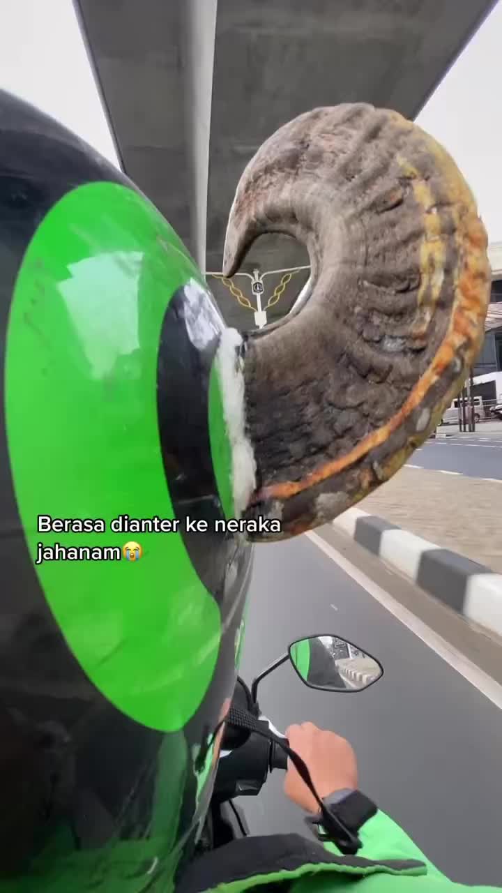 Helmnya Meresahkan
