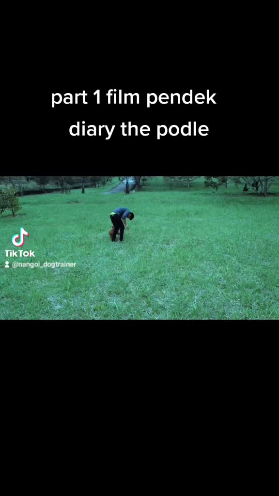 film pendek ,puisi