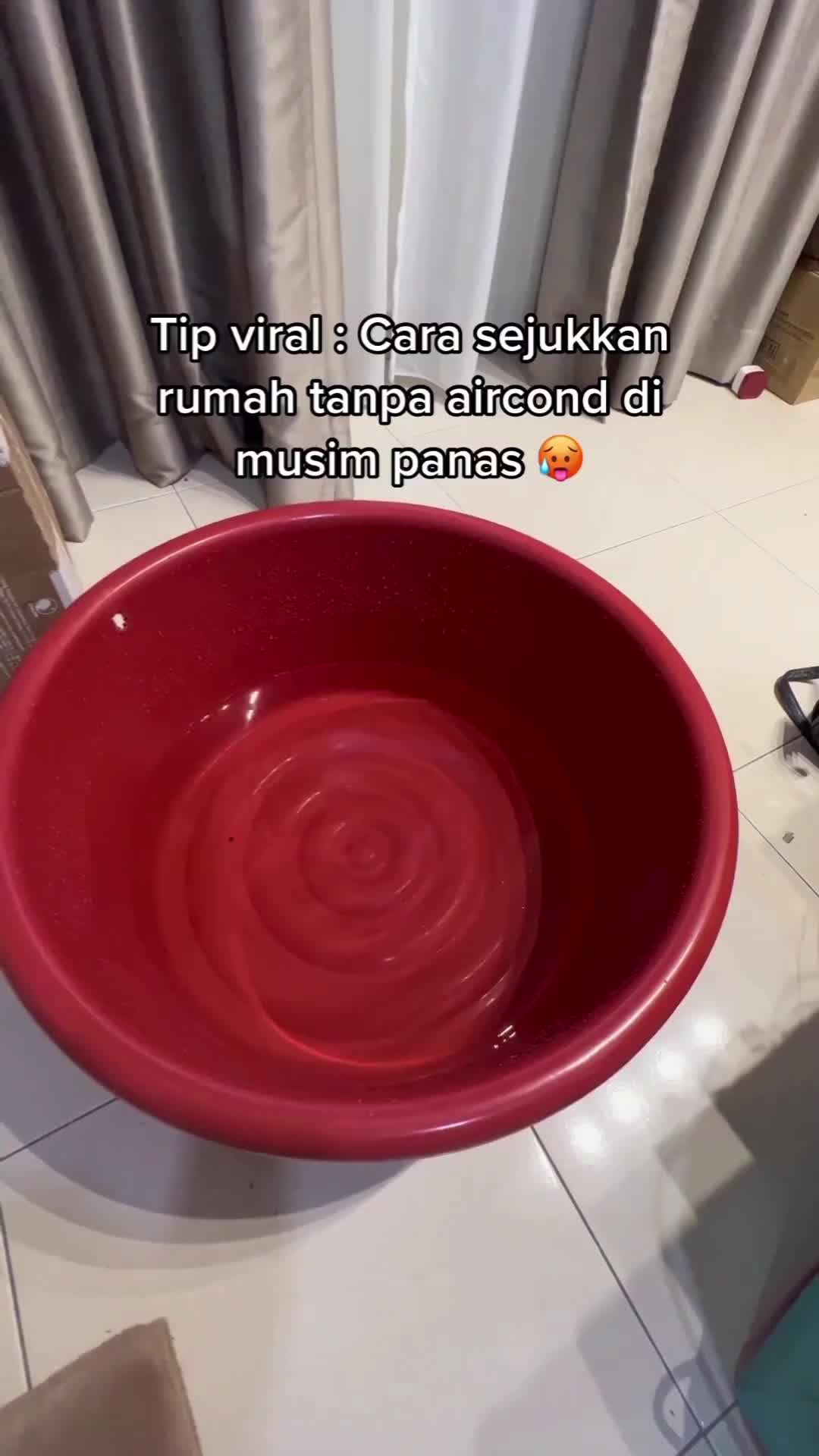 Piara ikan sekalian 😁