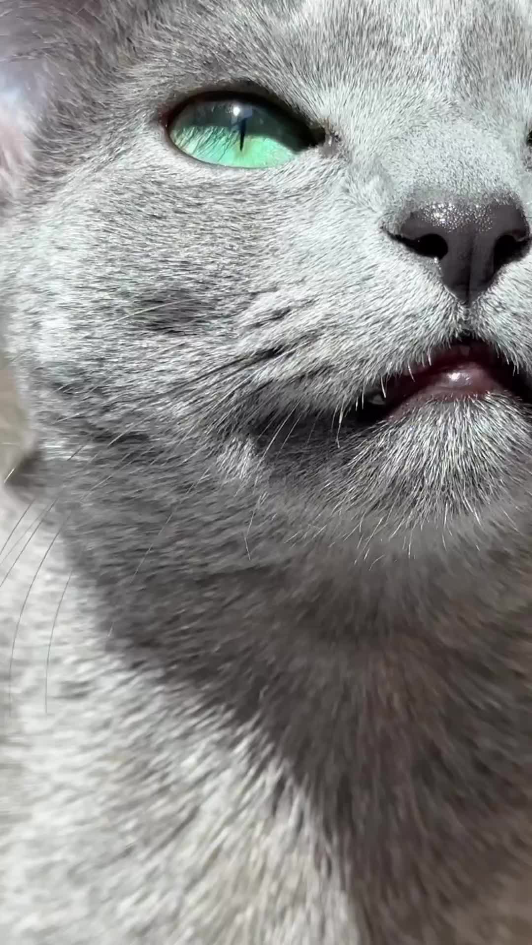 Cantik banget matanya