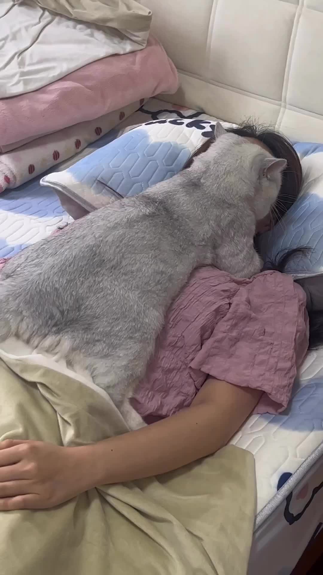 Ketindihan makhluk berbulu gemoy