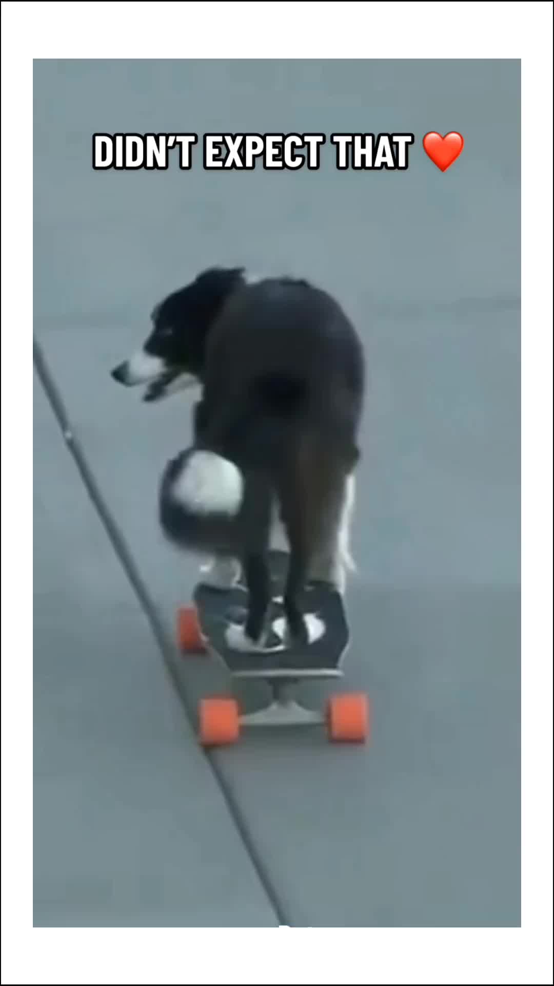 senang sekali dipinjemin skateboard