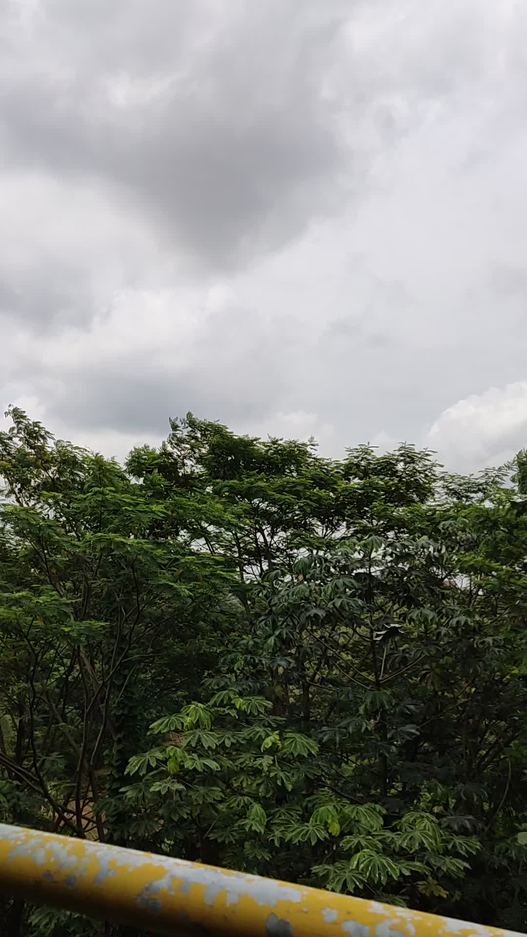 Pemandangan