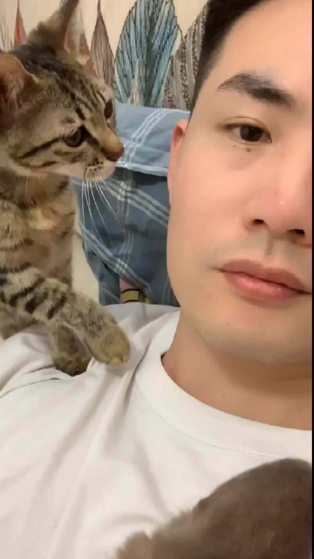 Kesayangan aku