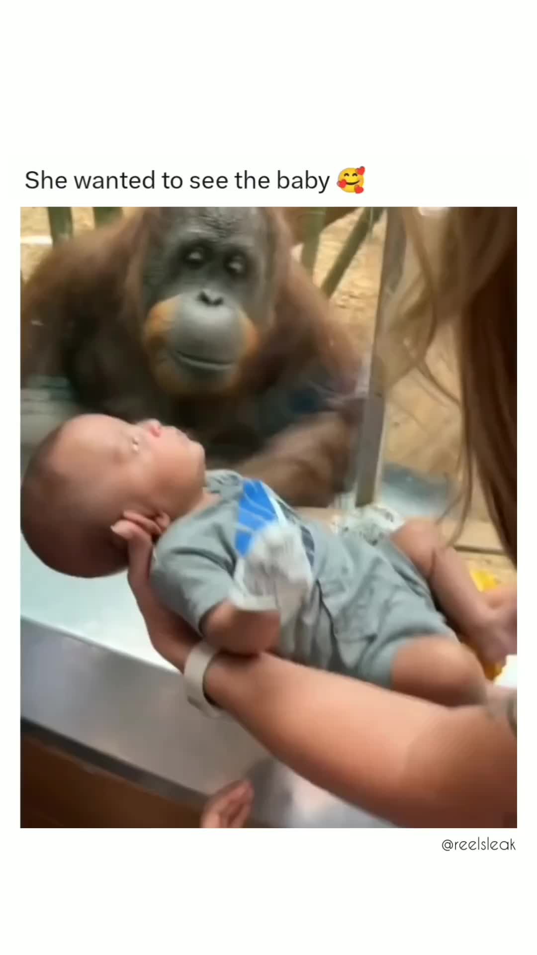 Liat anak mu mba