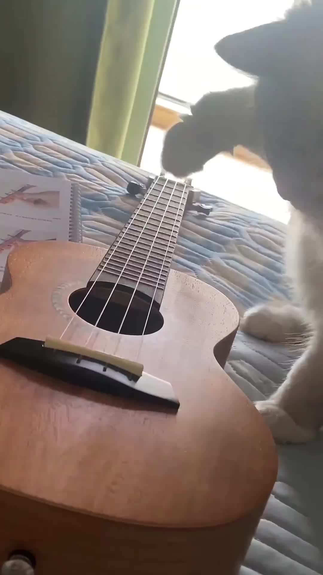 Loh kok bisa bunyi yak