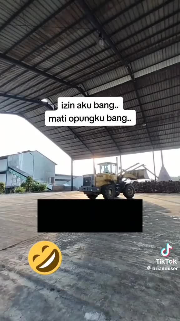 Kebanyakan opung