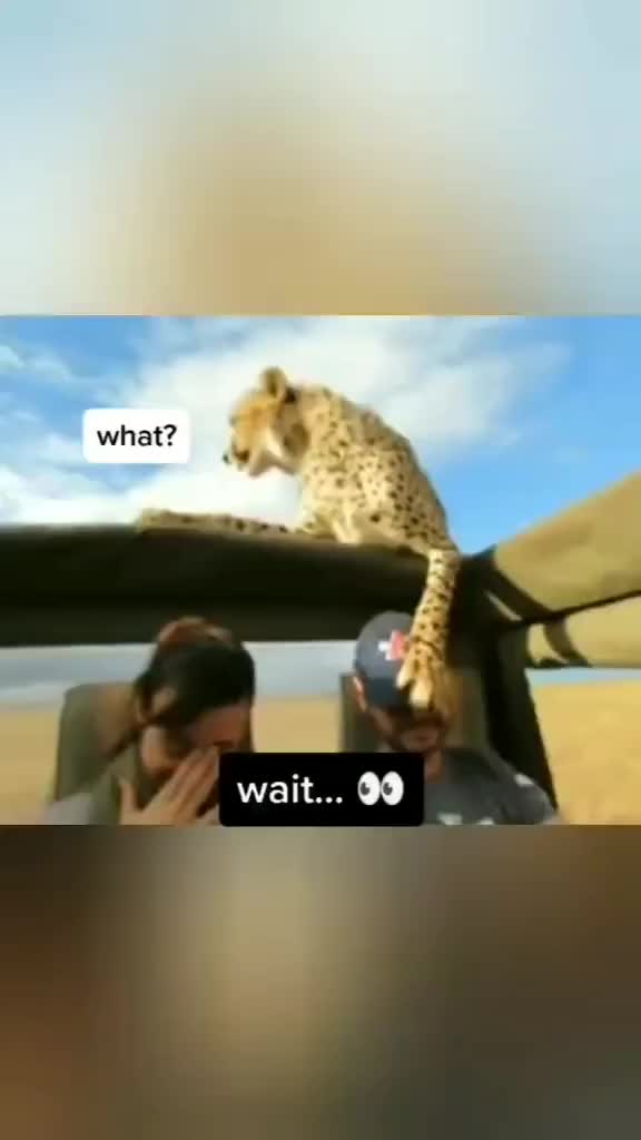 Pura pura ga tau 