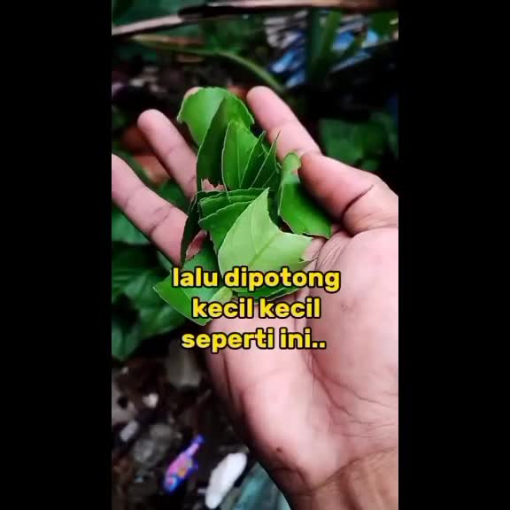 tips gigi sehat