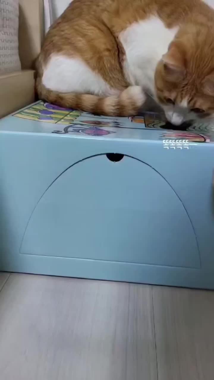 Siapa sihh gangguin aja