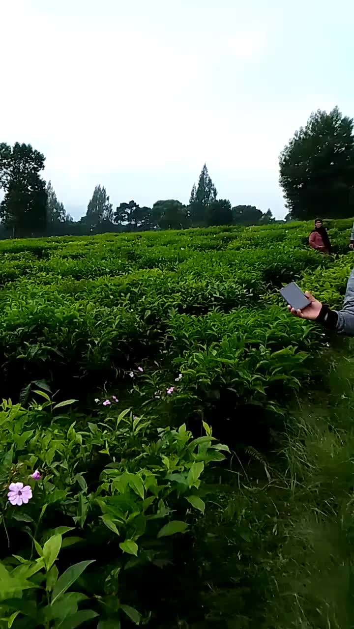 keseruan liburan bareng temen yg kocak