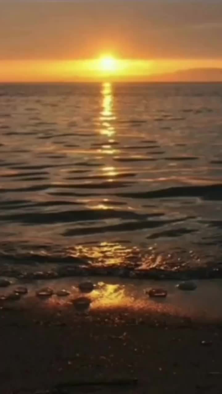 aduuuu