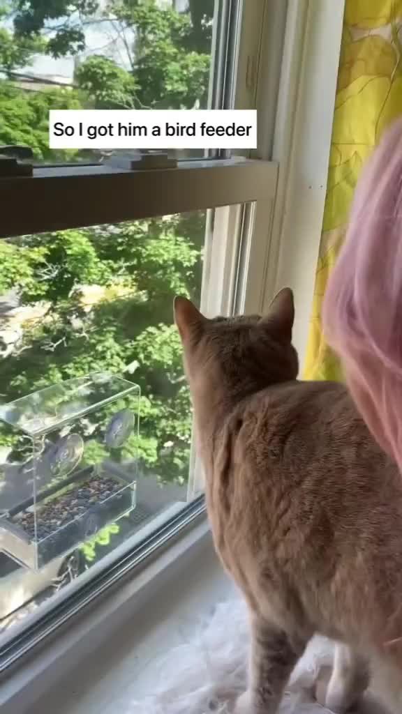 suka sama ekspresi excited kucingnya