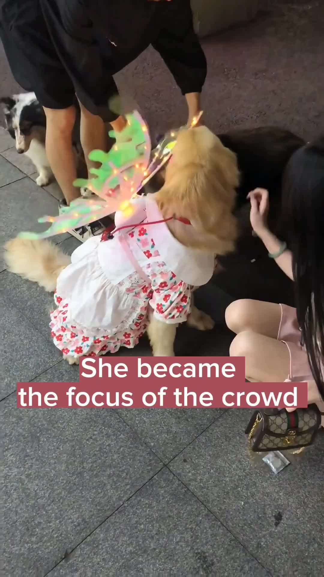 Aku ketika dibeliin sayang peri