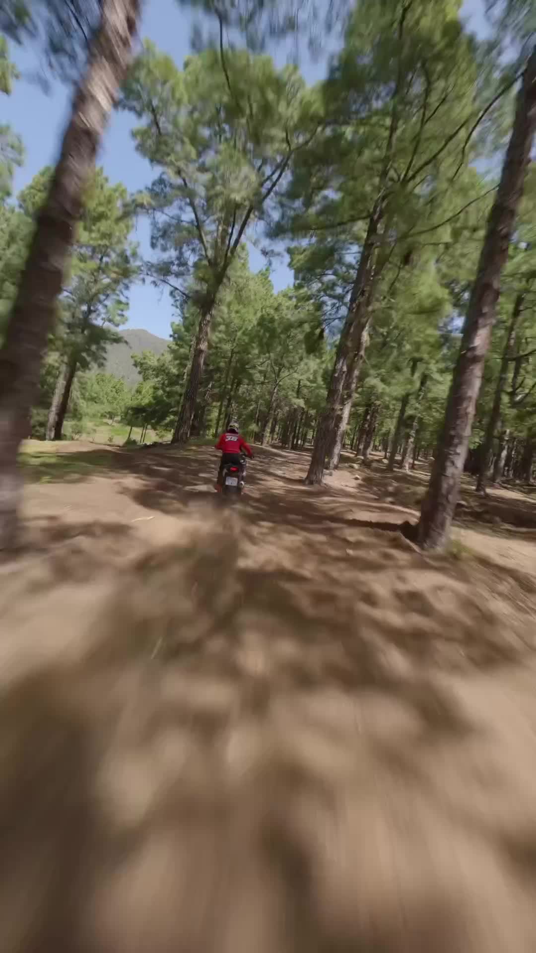 speed monster
