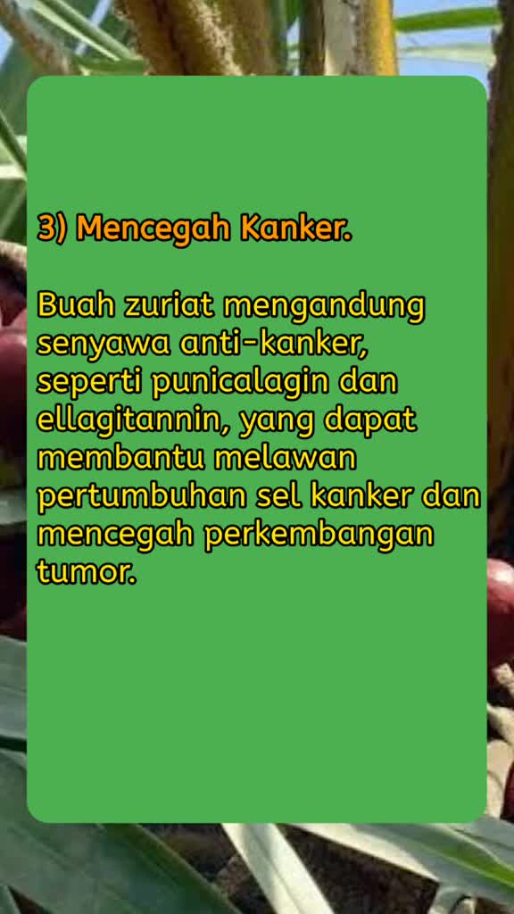 manfaat buah zuriat