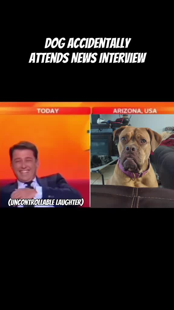 Interview with the dog