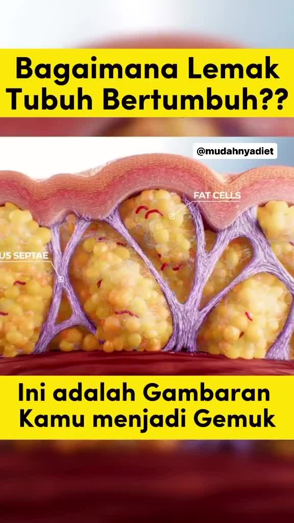 serem nggak si? yuk gerak 