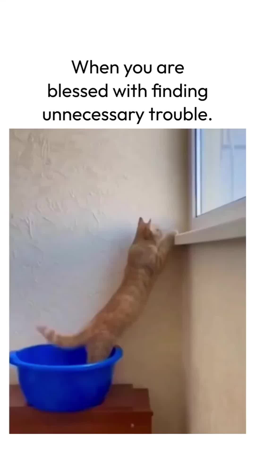 unnecessary trouble