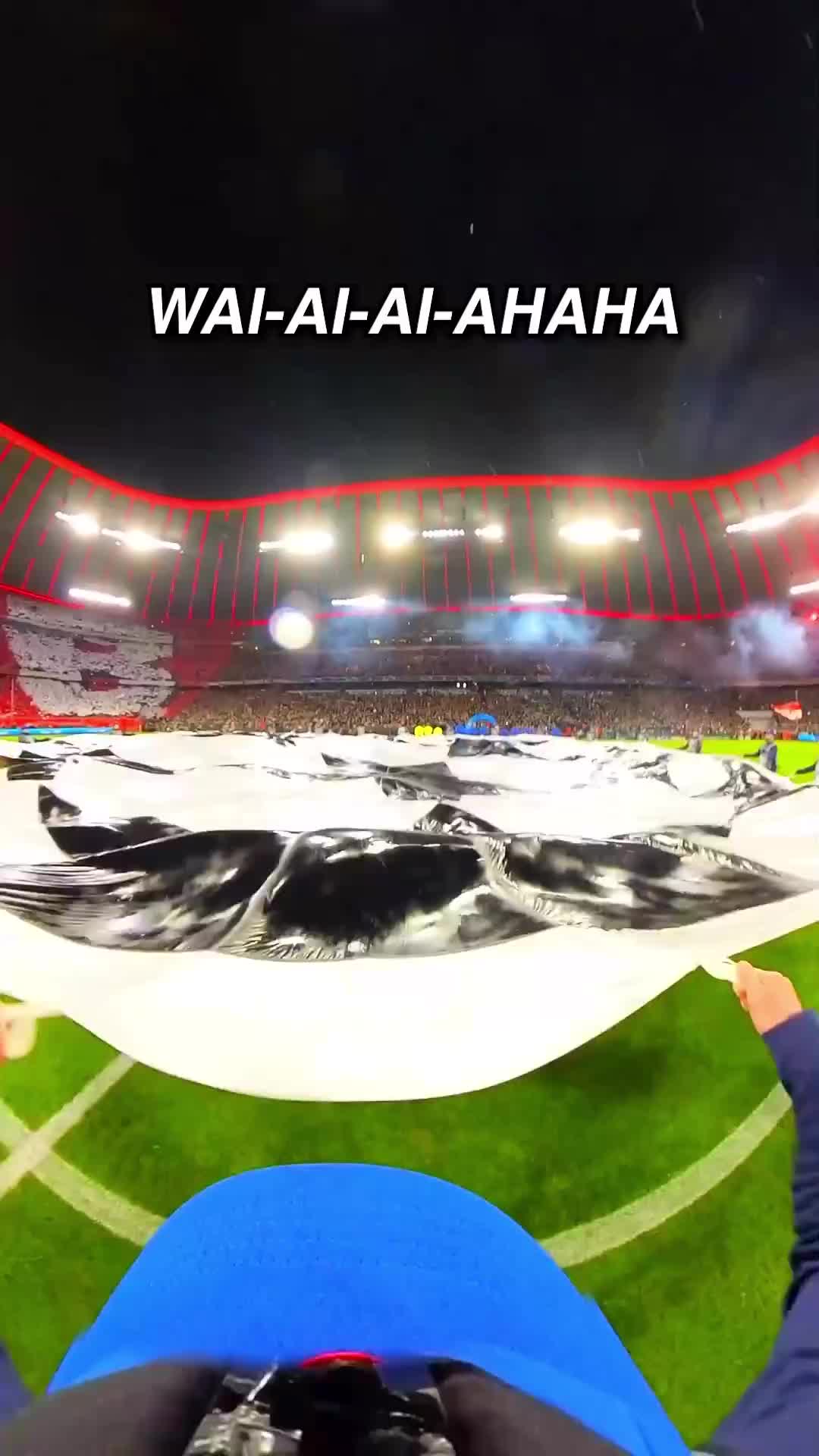 best experience