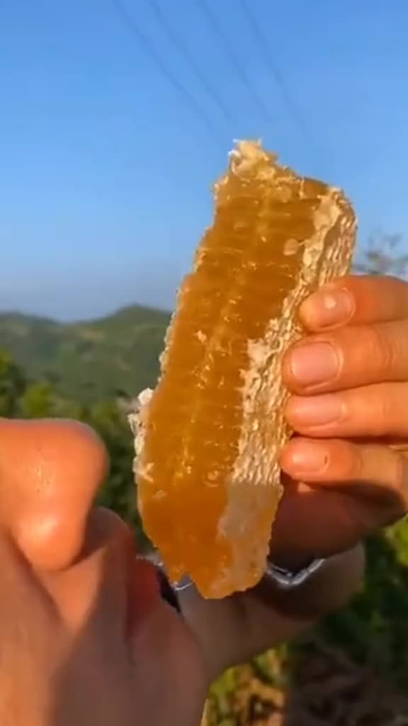 manfaat konsumsi sarang madu