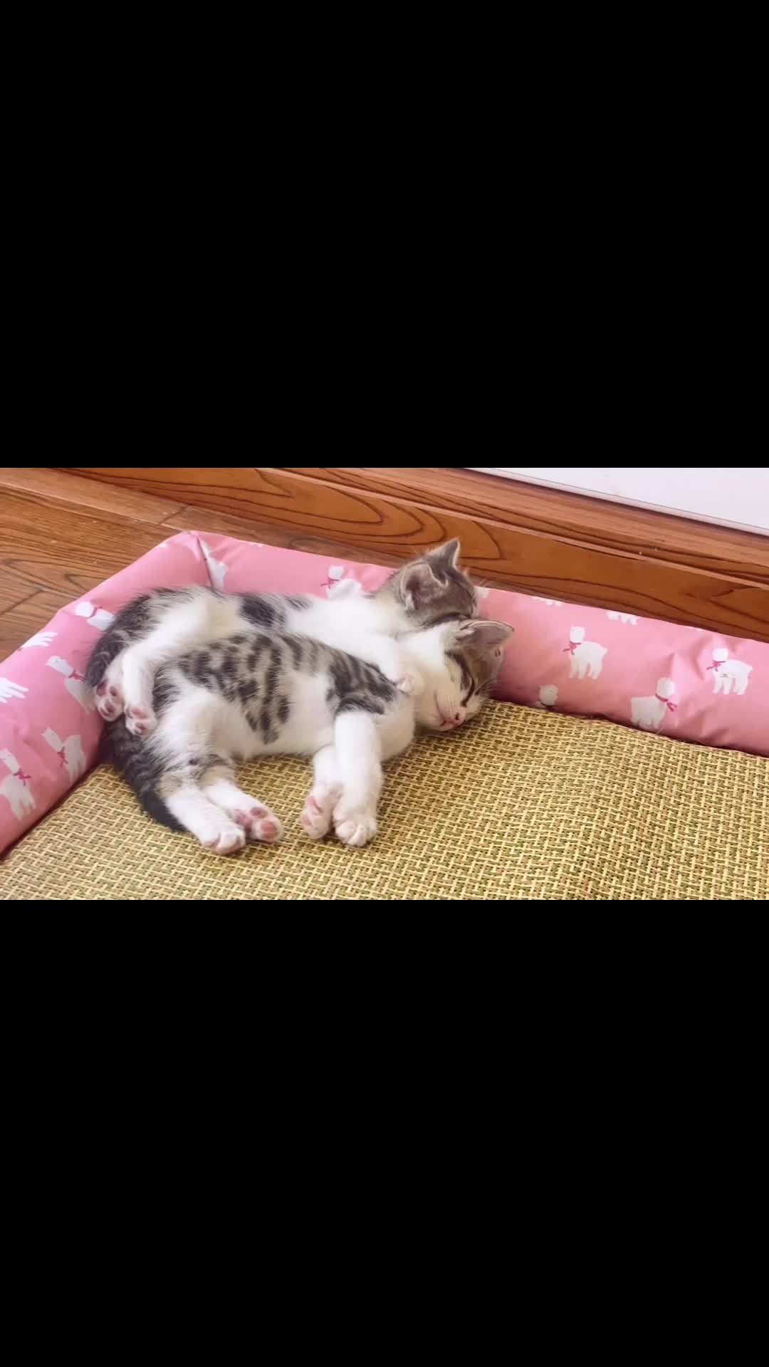 Pengen bobo disamping kaka