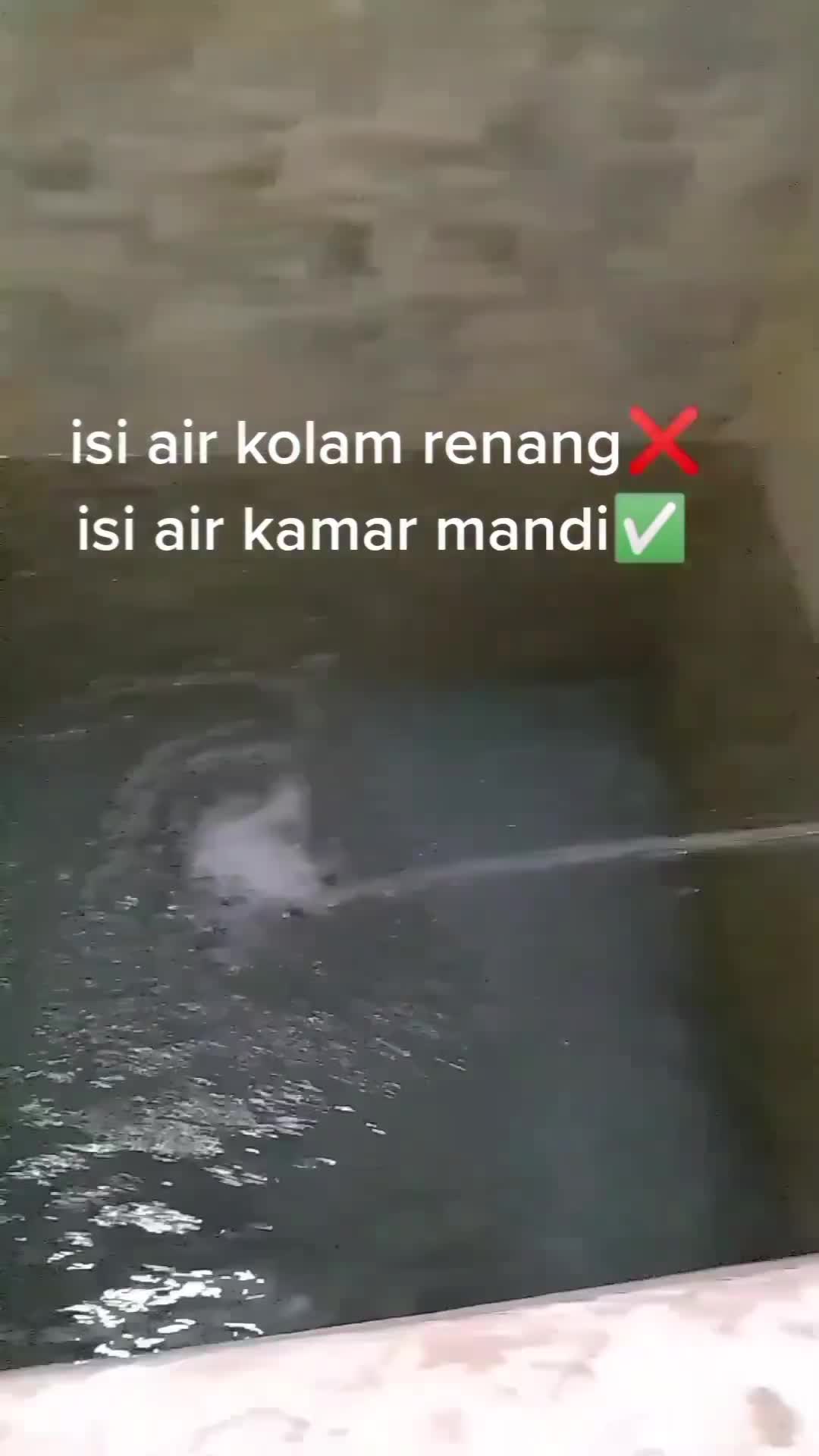 bak mandi di rumah paman bisa buat ternak paus