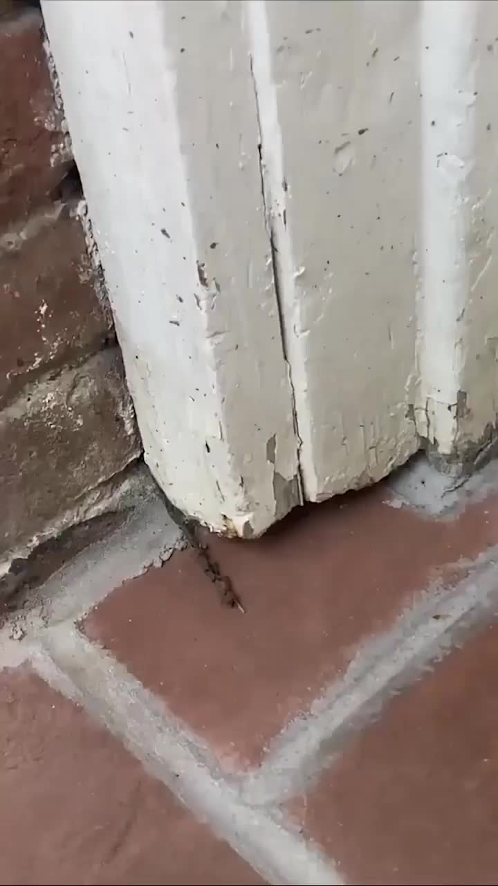 Smart ideas in construction of construction workers