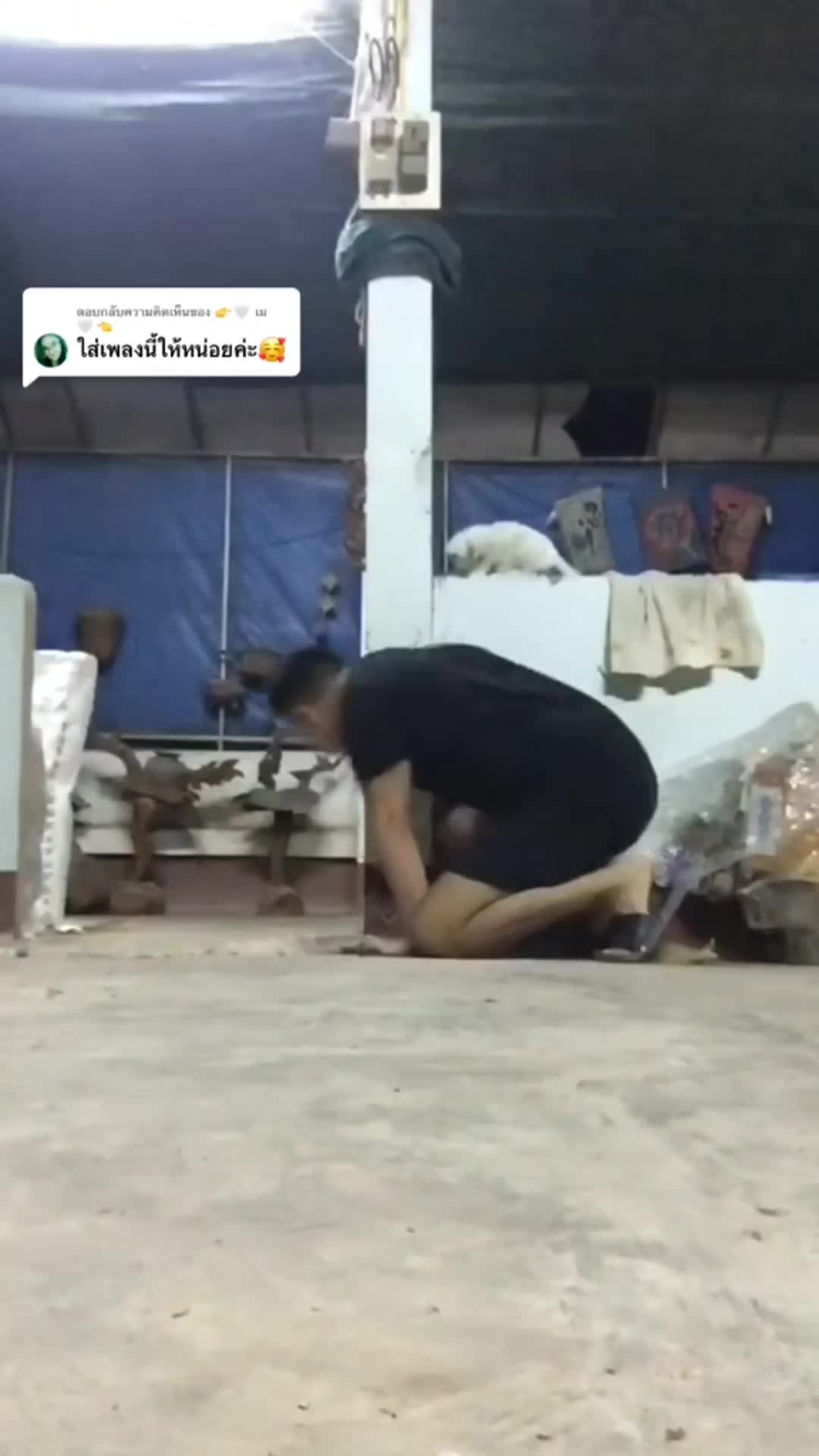 main tak umpet