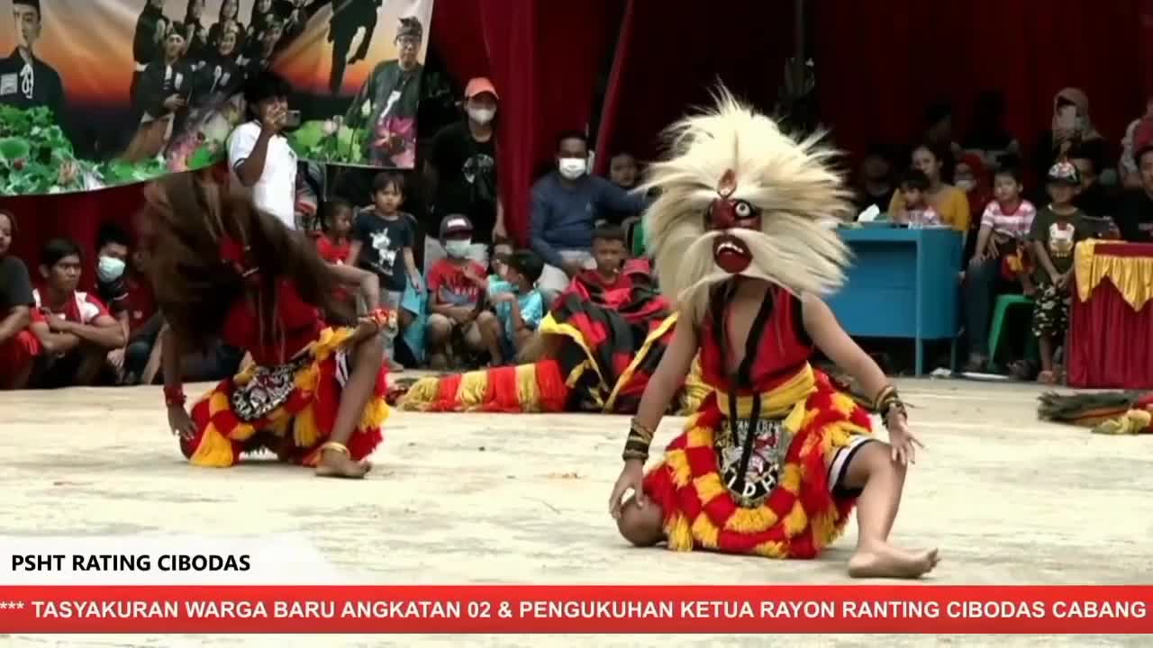 Aksi Petra ganong irenk 