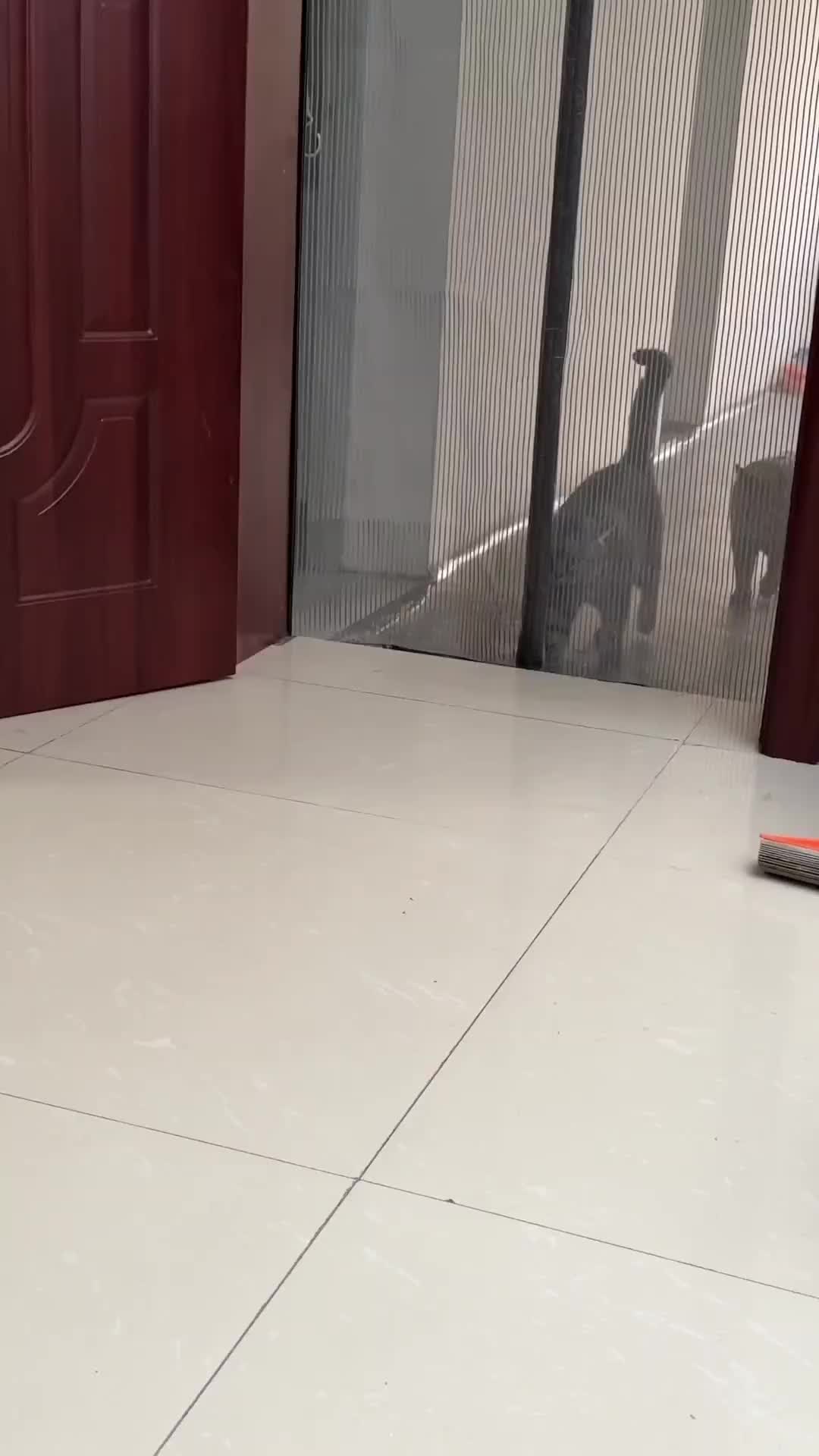 Tipe kepribadian cimeng