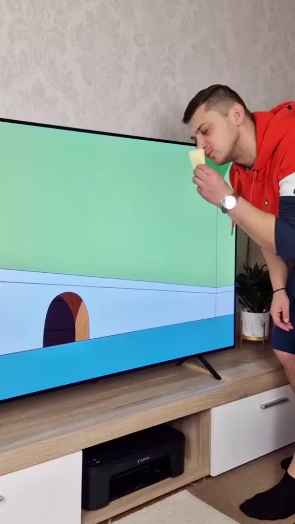 Tom and jerry in real life