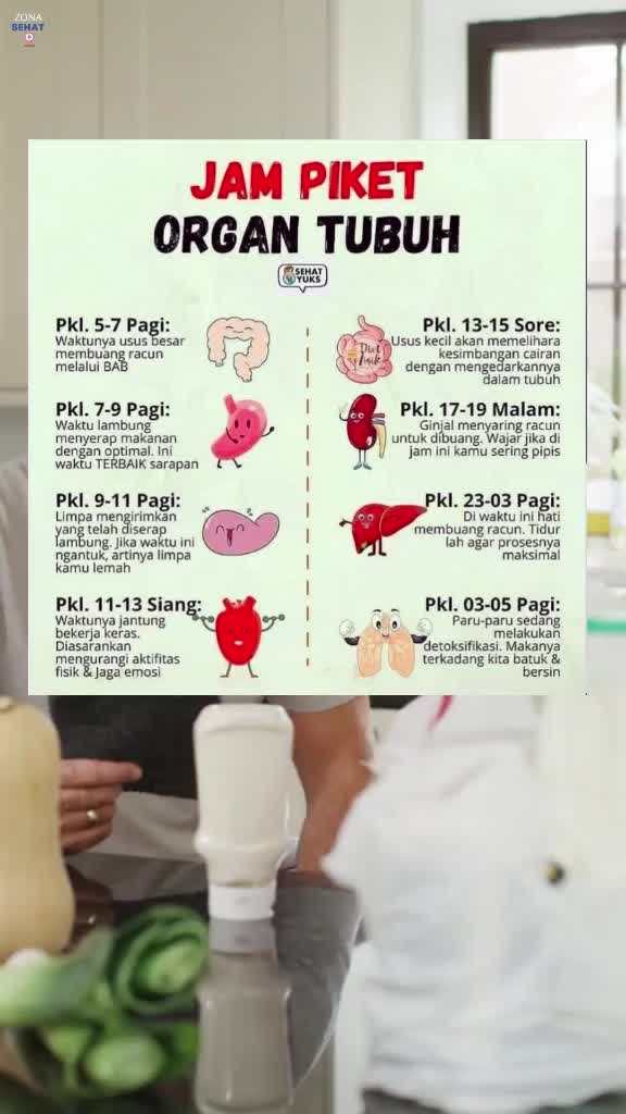 jam kerja organ tubuh