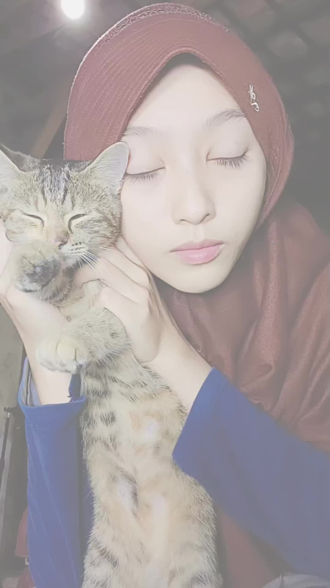 pecinta kucing