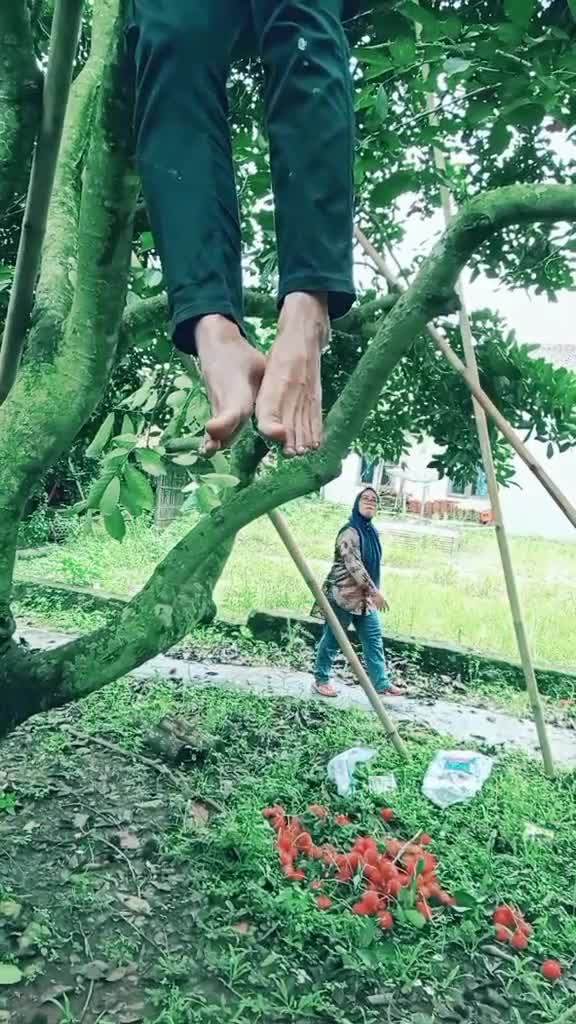 astaghfirullah baru ketahuan kemarin sore
