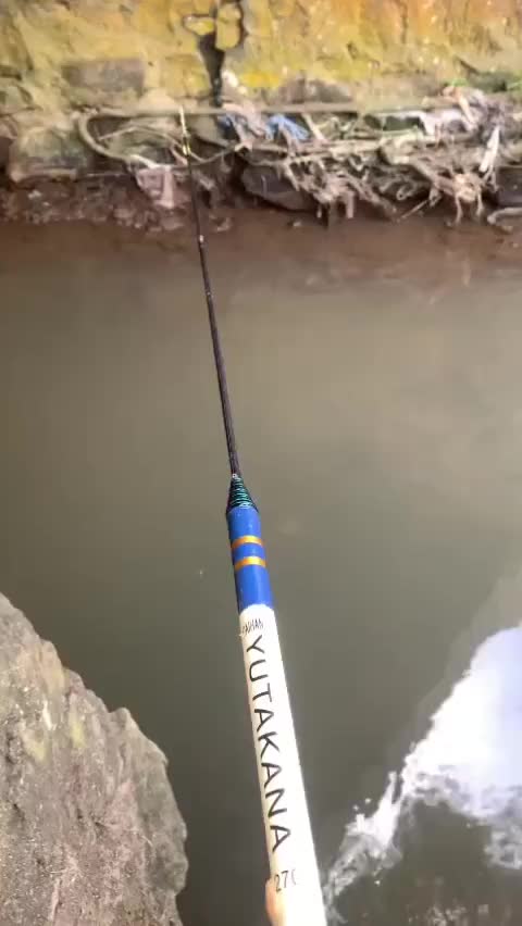 Yah Gagal Mancing Deh